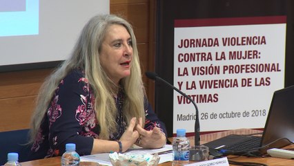 'Jornada Violencia contra la mujer' en Madrid