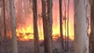 Aún quedan 23 incendios por extinguir en Asturias