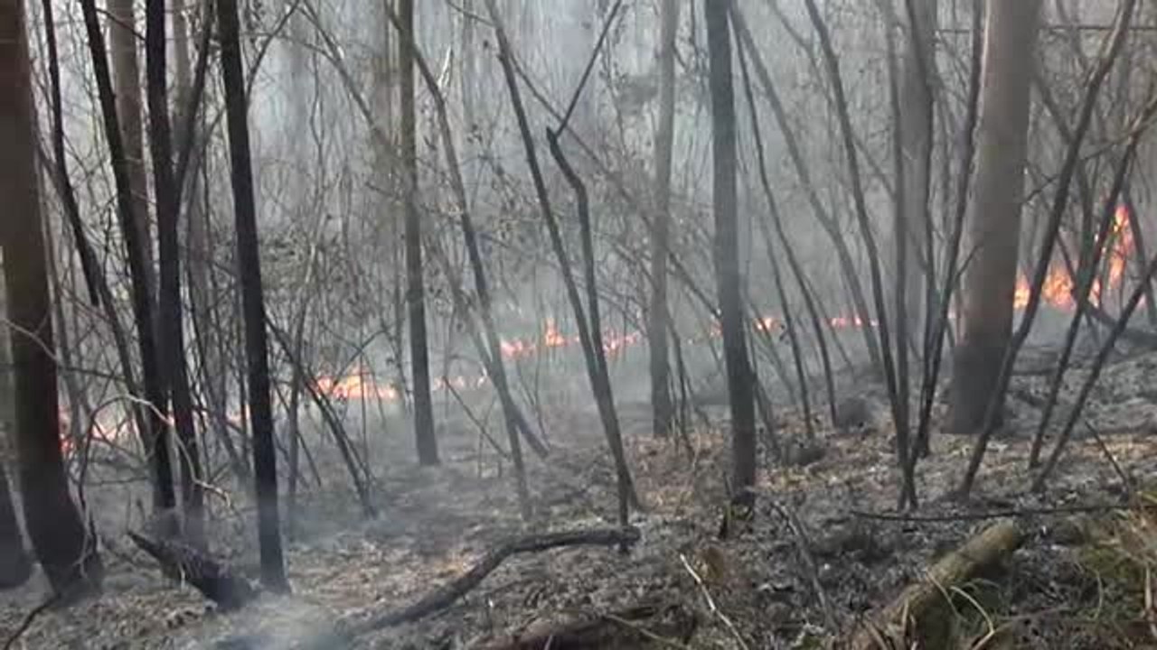 Investigan a cuatro personas como responsables de los incendios en Cantabria