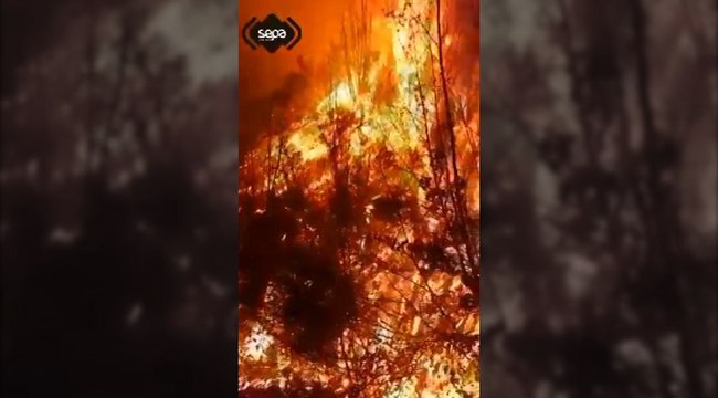 Otro método de extinción de los incendios de Asturias
