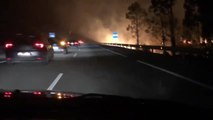Decenas de incendios se extienden por el Principado de Asturias