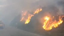 Continúan activos 15 incendios en Asturias