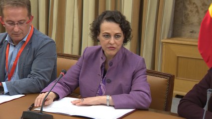 Valerio, sobre las prejubilaciones en el acuerdo con el sector del carbón