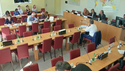 Commission des affaires étrangères : Bilan des printemps arabes, une décennie plus tard - Mardi 18 juin 2019