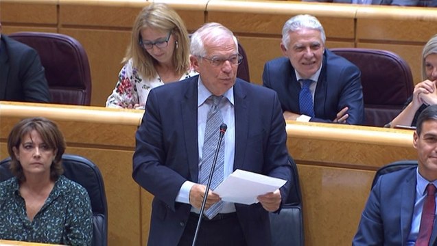 Borrel acusa a oposición de magnificar el problema de sus acciones