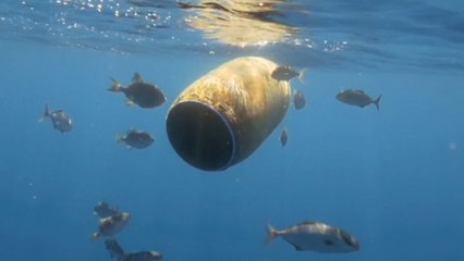 Ya no queda un solo ecosistema marino sin contaminar