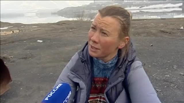 Una osa polar recorre cientos de kilómetros por una ciudad rusa buscando comida