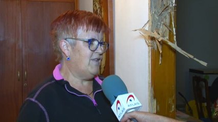 Las termitas amenazan Tenerife