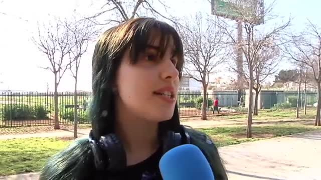 El Ayuntamiento de Palma limita el número de perros por vivienda: 3 por pisos y 5 por chalet