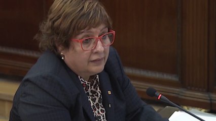 Bassa sobre el referéndum: "Creíamos que no era delito"