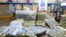 Cae una banda china dedicada al cultivo de marihuana para su venta a traficantes europeos