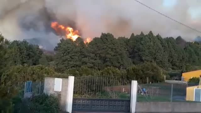 Estabilizado el incendio forestal declarado ayer en el municipio de Garafía, en la isla de La Palma