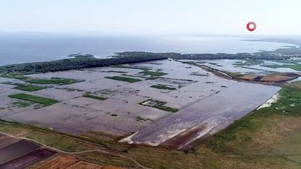 Su altında kalan tarım arazileri havadan görüntülendi