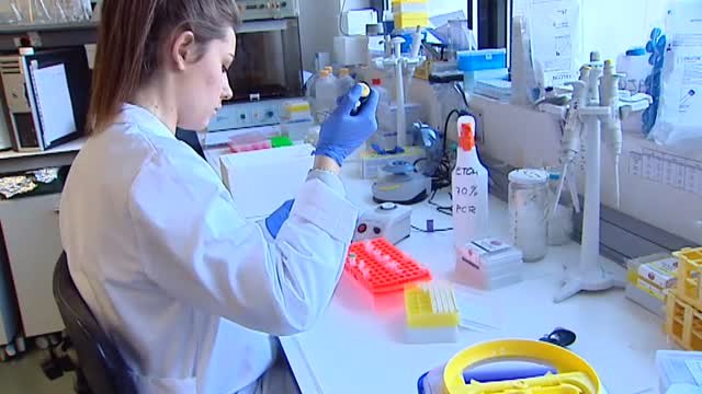 19 de octubre: Día Mundial del Cáncer de Mama