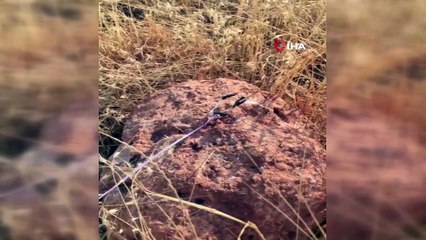 Teröristlerin yola tuzakladığı telsiz düzenekli bomba imha edildi