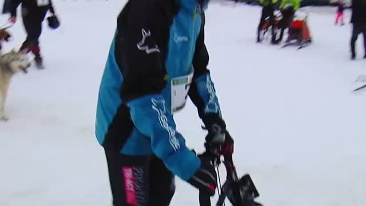 Trineos tirados por perros, el 'mushing' llega a la localidad asturiana de Pajares