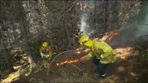 Un incendio forestal obliga a desalojar a más de 3.500 personas en Nueva Zelanda