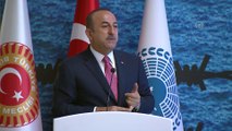 Çavuşoğlu: 'Suriyelilerin kendi anayasalarının hazırlanması ve siyasi çözüme doğru ilerleme konusunda çaba sarfediyoruz' - ANKARA