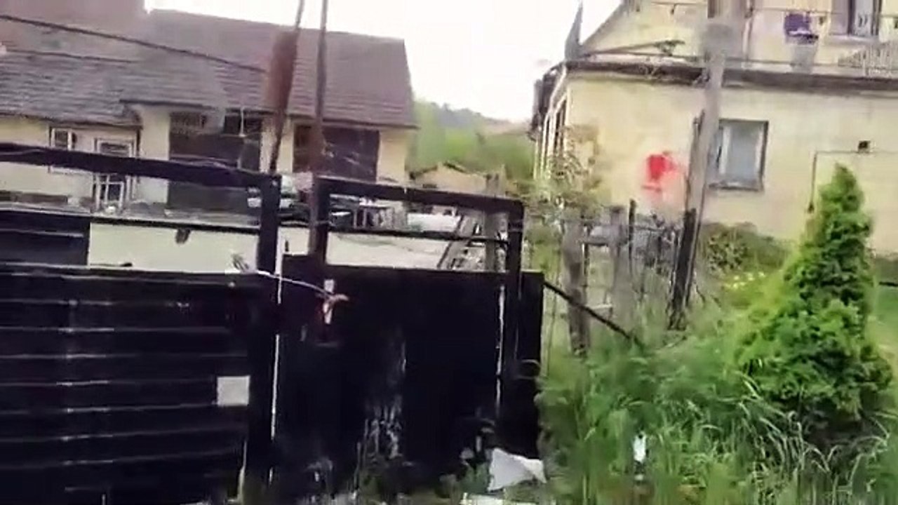 Drachenlord Besuch 01.05.2019 Besuch im Tierheim, Pizzawurf