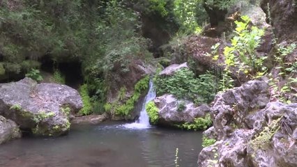 Ormanın içindeki "gizli cennet" ziyaretçilerini büyülüyor