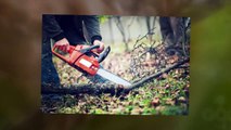 Dublin Tree Surgeon | goodfellers.ie | Call 0858281017