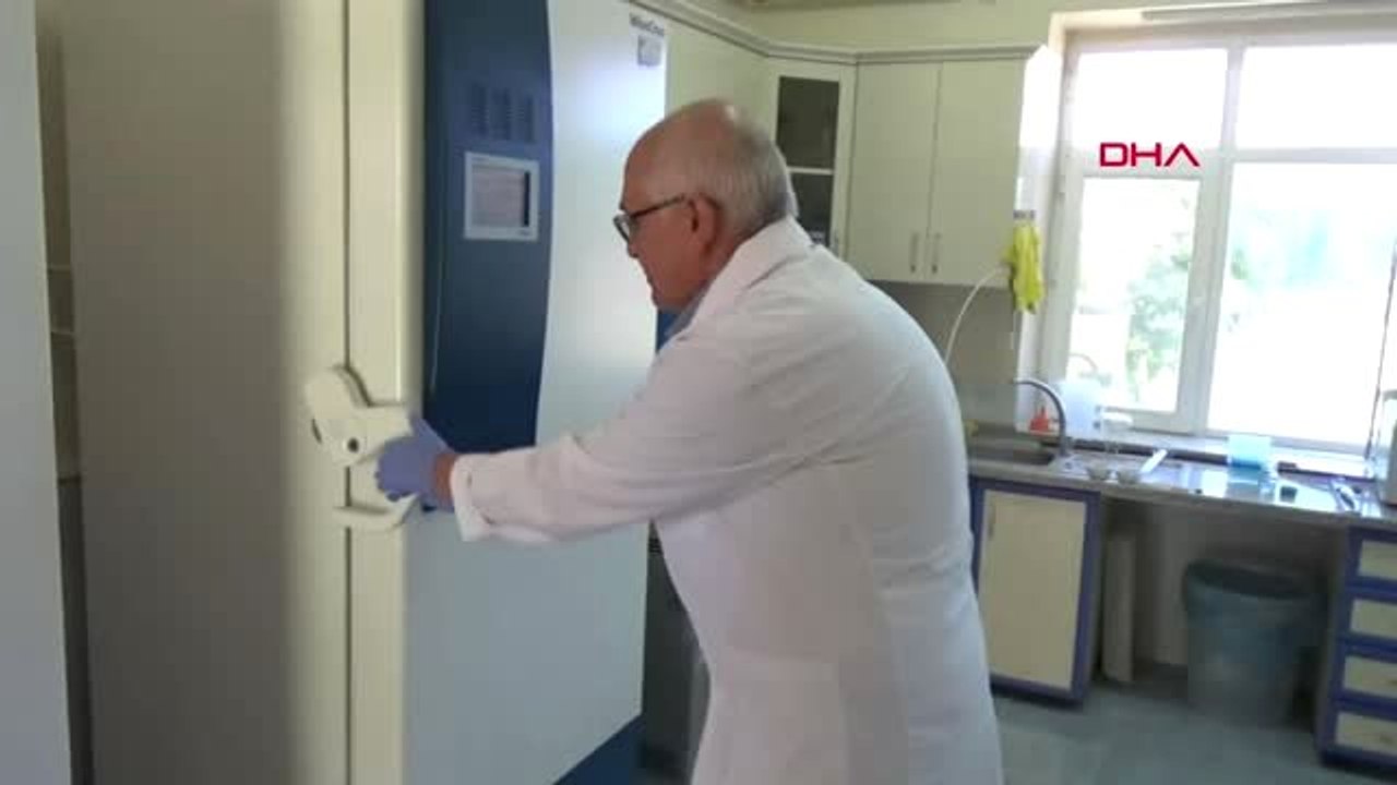 NİĞDE'DE YÜKSEK VERİMLİ 2 PATATES ÇEŞİDİ GELİŞTİRİLDİ