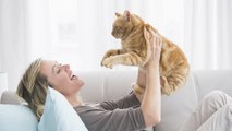 ¿Cómo practicar la terapia con gatos?
