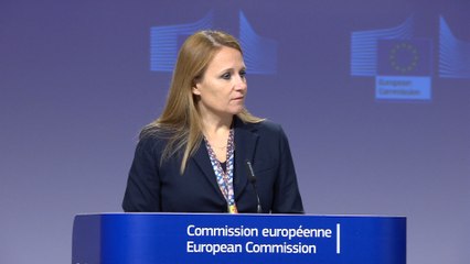 Video herunterladen: Diplomacia europea explica objetivo de reunión en Montevideo