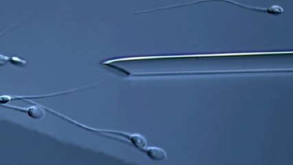 La infertilidad en hombres aumenta un 9% en diez años