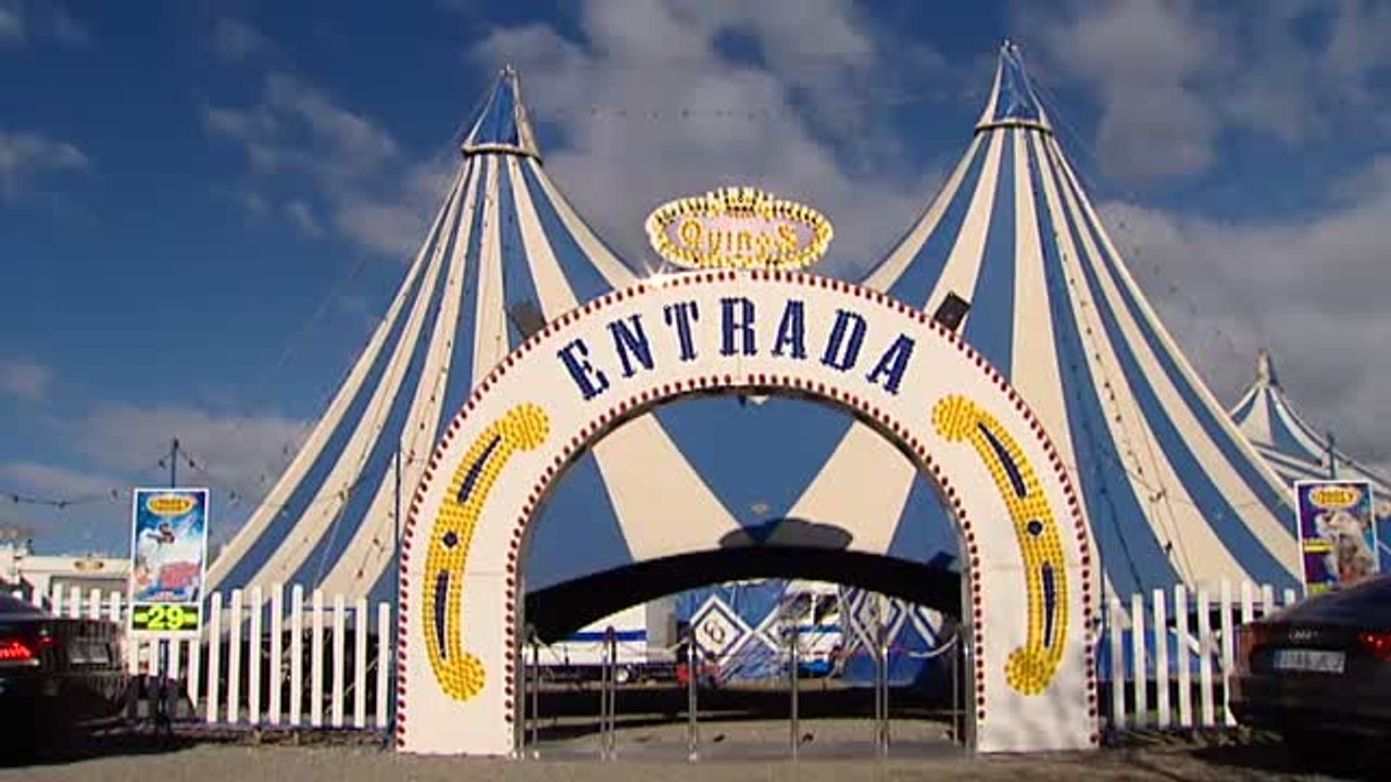 Madrid podría quedarse sin circo con animales a partir de marzo