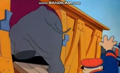 #토토솔루션분양 #토토사이트만들기