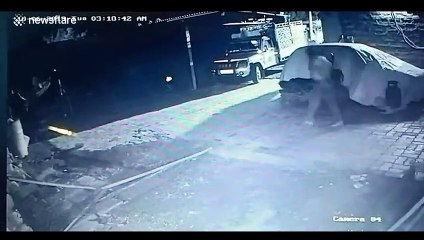 Fearless villager saves calf by attacking lion with a stick in northern India