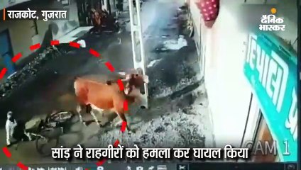 जैतपुर में सांड का आतंक, दो राहगीरों पर हमला, सीसीटीवी में कैद