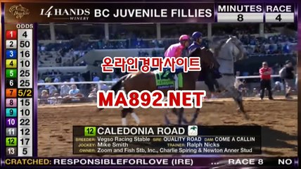 서울경마예상 M A 892 점 NET