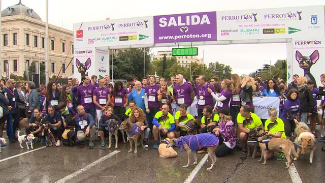 Más de 4.000 personas acuden a la carrera solidaria Perrotón