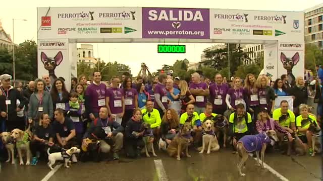 Perros grandes y pequeños corren junto a sus dueños en la séptima edición del Perrotón