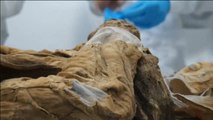 La momia que puede ser clave en la historia de las enfermedades