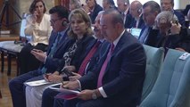 TBMM'de Akdeniz Parlamenter Asamblesi Toplantısı - AKDENİZ-PA Başkanı Bouran