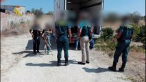 La Guardia Civil clausura una perrera ilegal en Villamanta