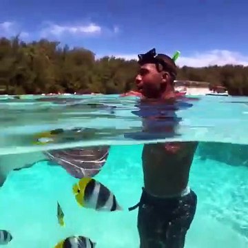 Cet homme nage avec une raie et de magnifiques petits poissons. Regardez !