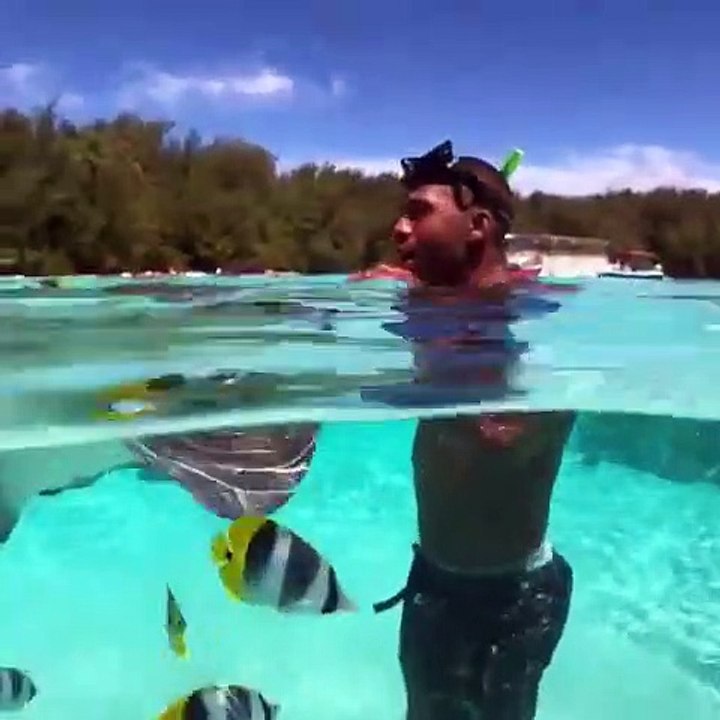 Cet homme nage avec une raie et de magnifiques petits poissons. Regardez !