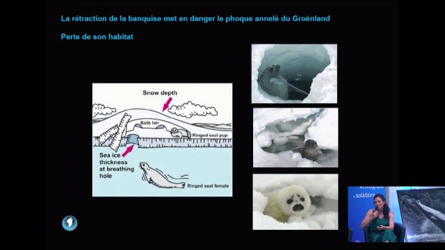 [Live- Conférence] Océans, un avenir pour l'humanité ? (part 3)