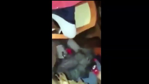 Trabzon'da hayatta kalma mücadelesi böyle görüntülendi