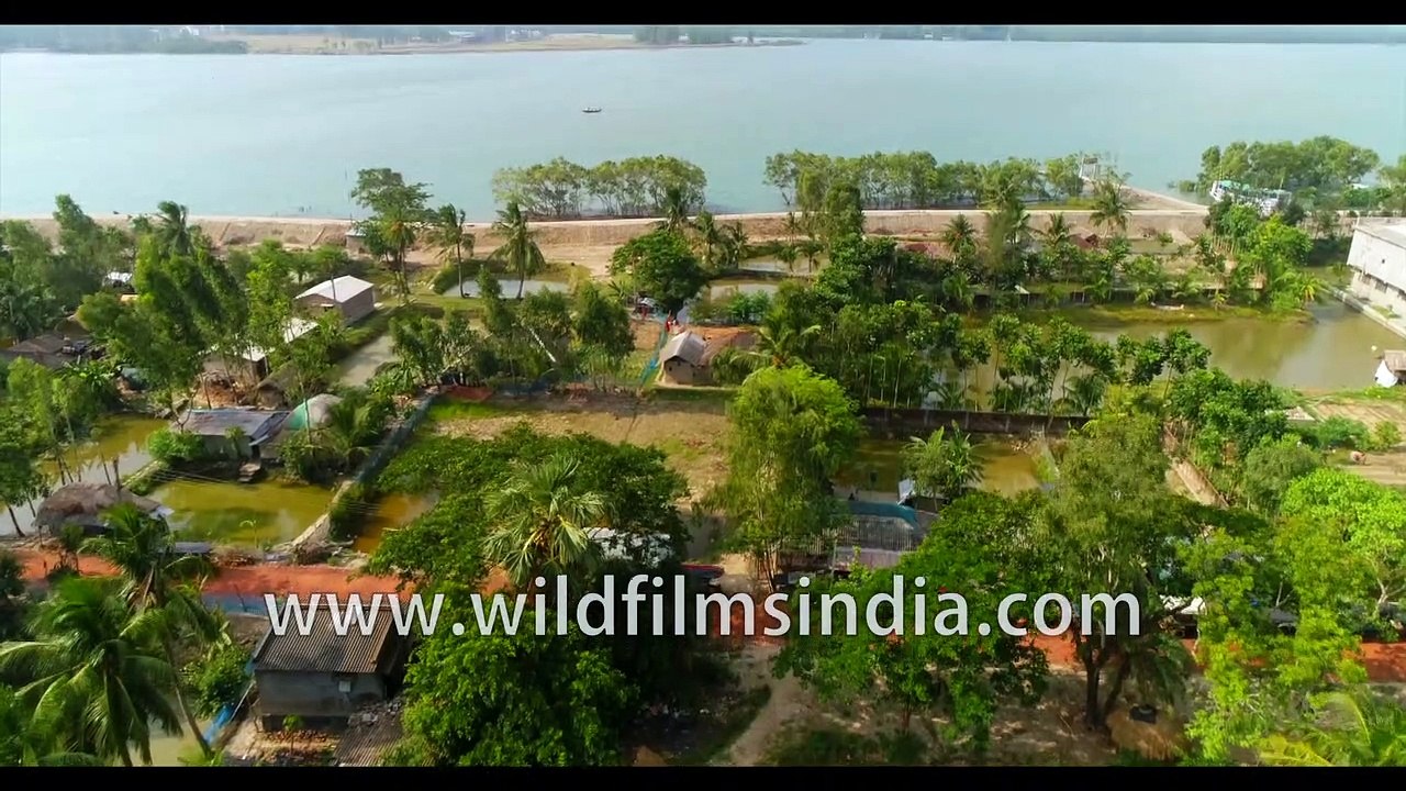 4k Birds eye view of Gosaba and Satjelia islands village life -UNESCO ...