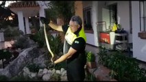 Capturan 3 serpientes de gran tamaño en Málaga