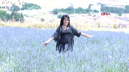 SİİRT'TE İLK LAVANTA HASADI