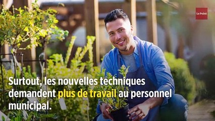 Interdiction du glyphosate : les collectivités s'adaptent