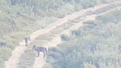 El turismo rural como alternativa