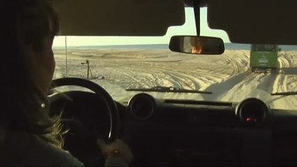 Doñana celebra el Día Mundial de las Aves recogiendo plomo del Cerro de los Ánsares