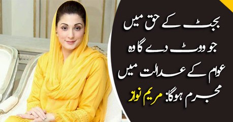 Voting in favor of this budget is crime : Maryam Nawaz